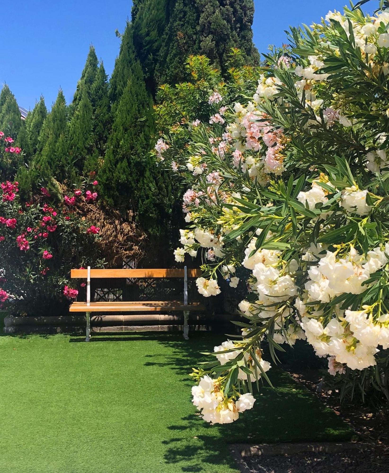 Bungalows Las Almenas Maspalomas  Eksteriør billede